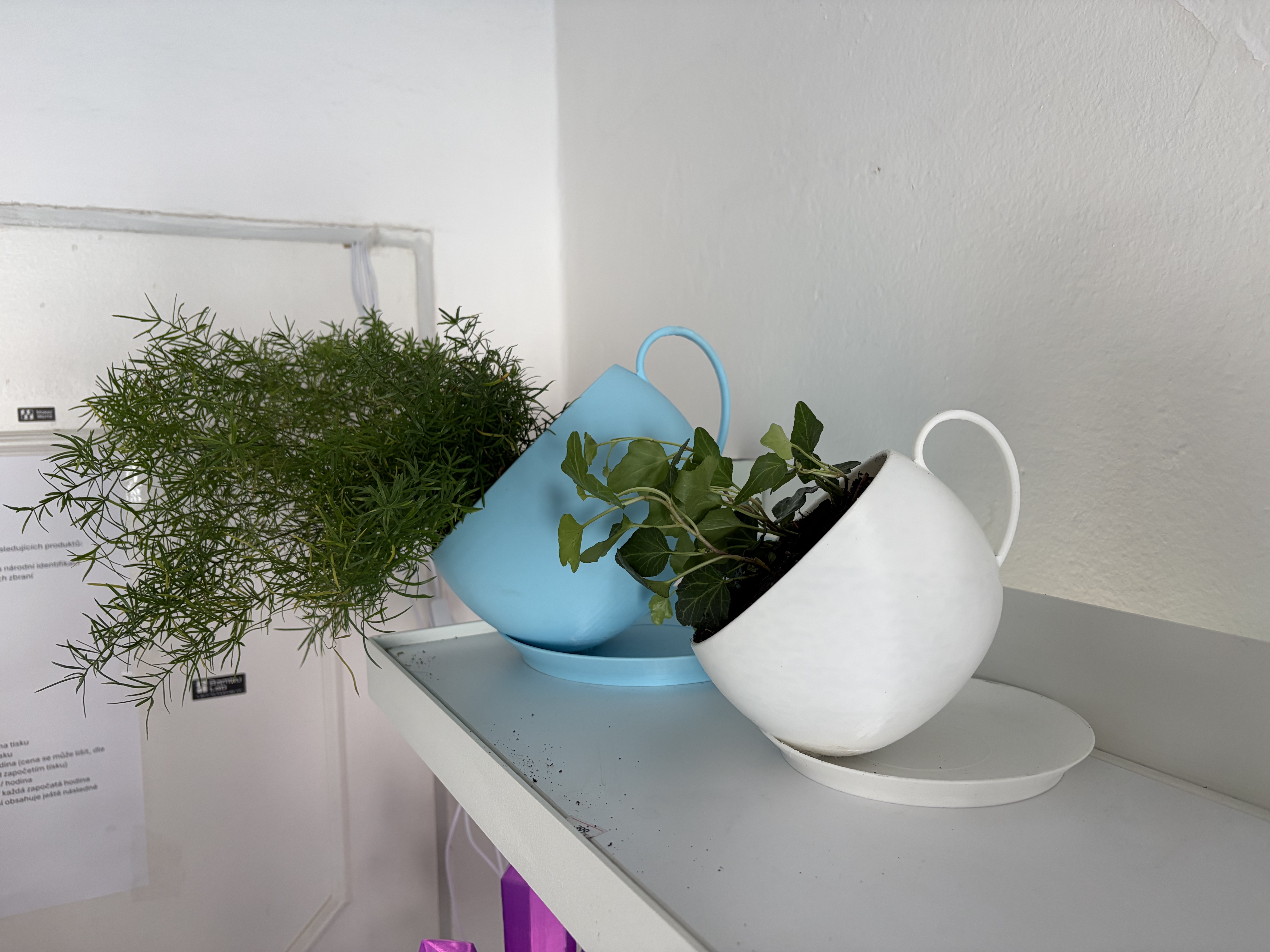 Foto 5