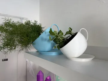 Modelo para impresión 3D: Pouring Plant - Spilled Cup — vista de referencia 4