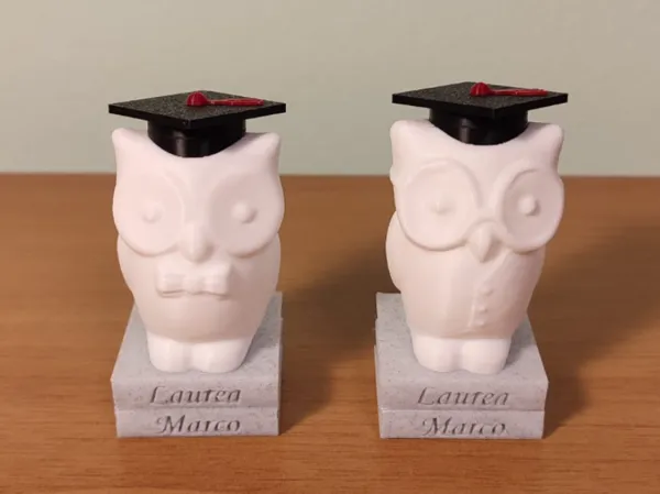https://makerworld.bblmw.com/makerworld/model/US75dbaef7a5d7bb/design/2024-10-16_99e62a67df0dd.jpg