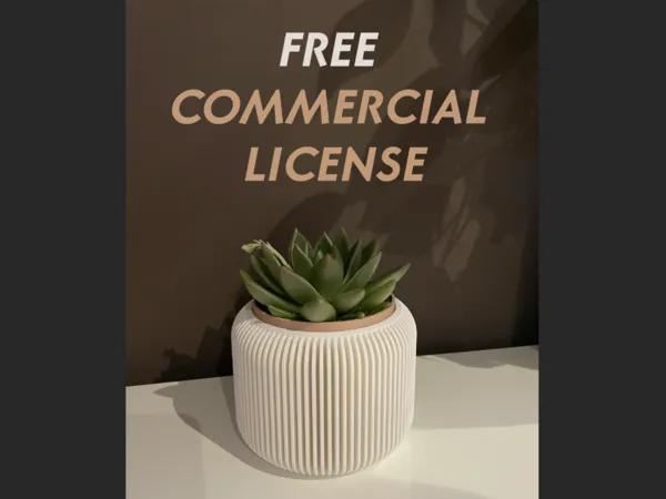 Vase design bicolore pour plante