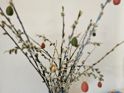 Mini Yolks on a Rope