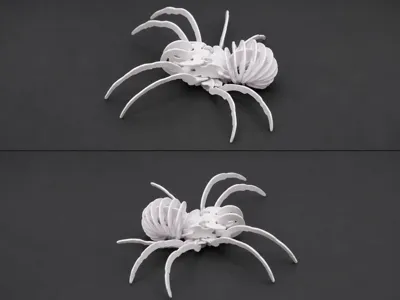 3D PUZZLE - SPIDER