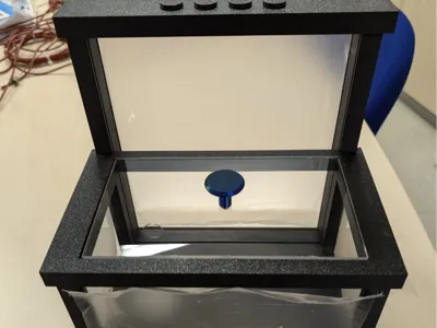 ant farm