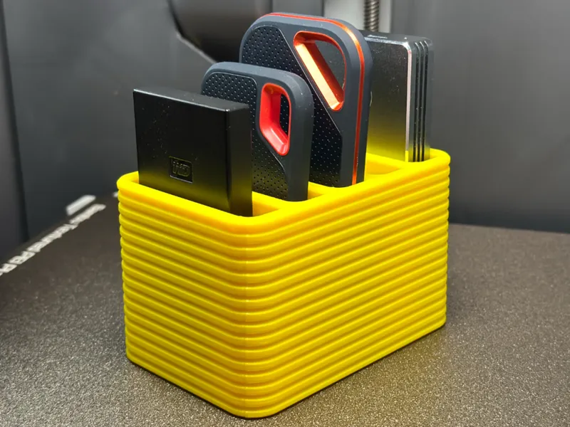 Universal SSD Storage & Holder