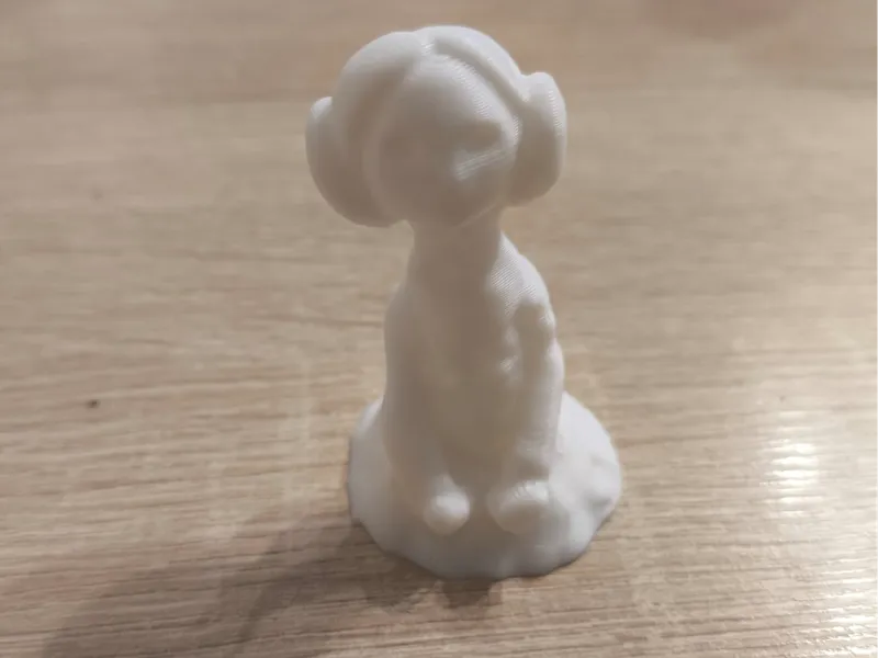 Princess Leia 