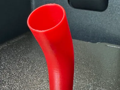 Chicken Leg Prosthesis 