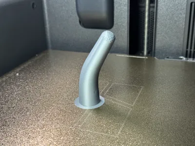 Chicken Leg Prosthesis 