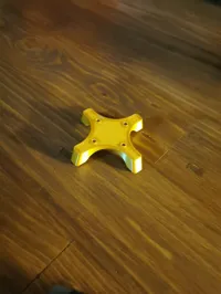 Leg