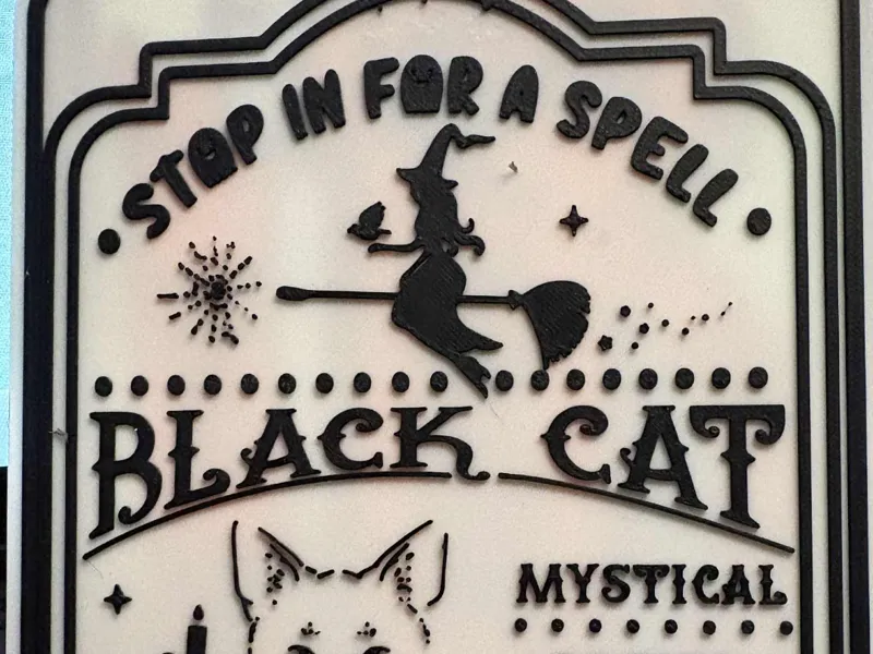 black cat 