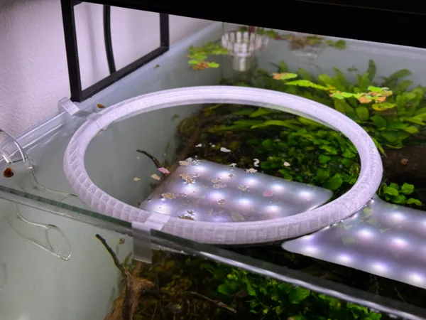 https://makerworld.bblmw.com/makerworld/model/US75f450ac530d73/design/2023-11-26_b614c6c95e5a2.jpeg