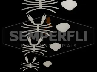 Crab Bodies, Skeletons & Claws Collection