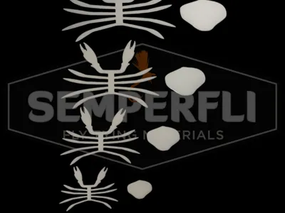 Crab Bodies, Skeletons & Claws Collection