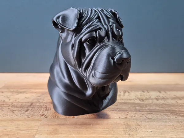 https://makerworld.bblmw.com/makerworld/model/US75fd4ae751e4a7/design/2025-05-24_db07289a2f58d8.jpg