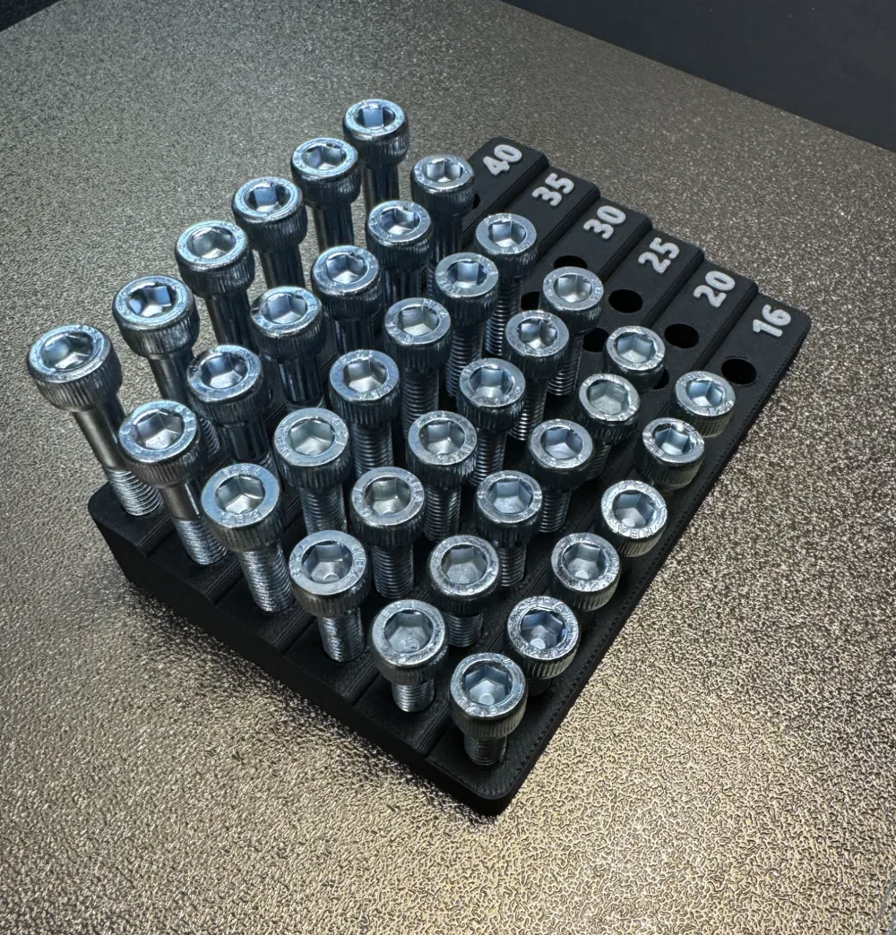 M6 Bolt Organizer by ALwISP MakerWorld