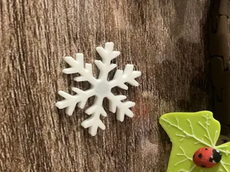 Christmas Snowflake Magnet