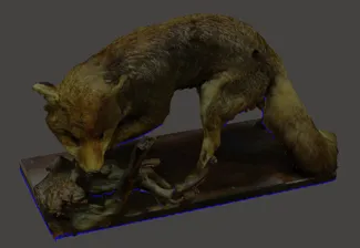 Fox scanned model
