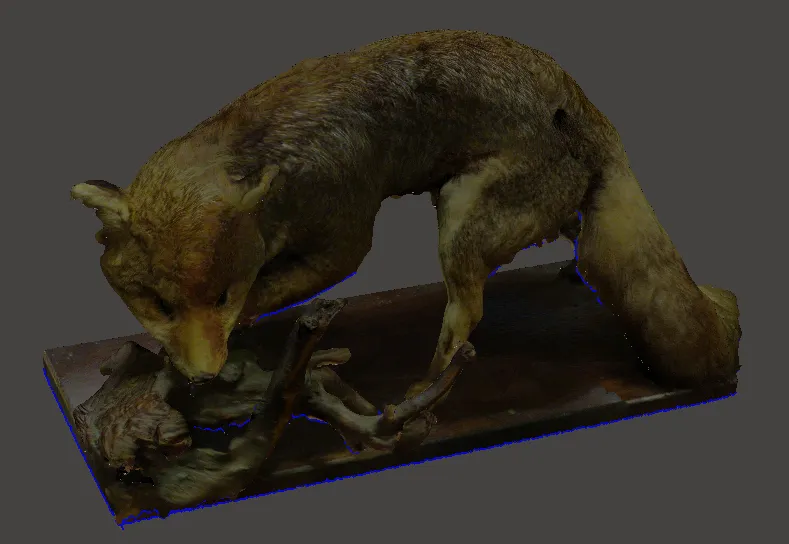 Fox scanned model