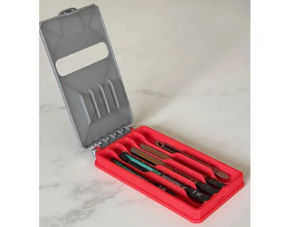 https://makerworld.bblmw.com/makerworld/model/US760a82dbb12b8/design/4b09eef8c59ba058.jpeg