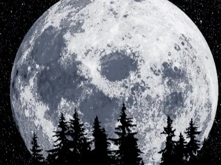 Moon canvas