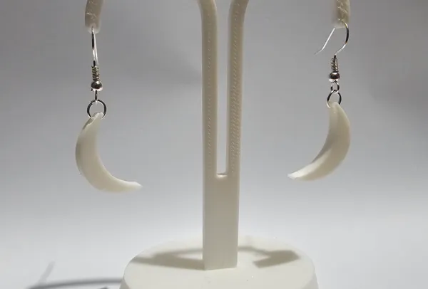 https://makerworld.bblmw.com/makerworld/model/US76140b4b72a67e/design/2024-12-30_a8379a3c5ff3.jpg