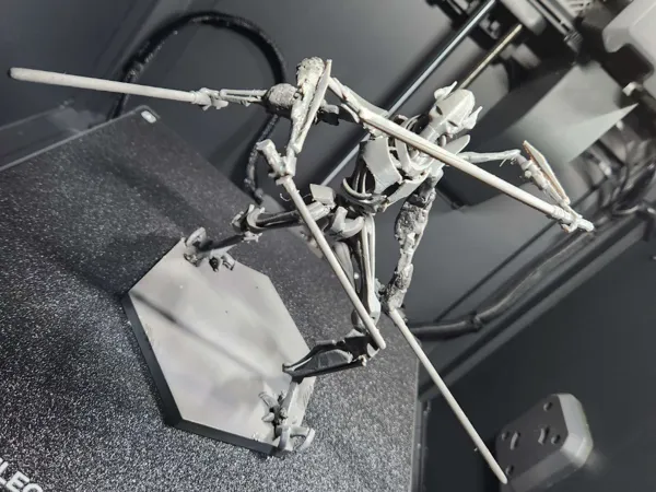 https://makerworld.bblmw.com/makerworld/model/US7616940071d2ff/design/2025-08-18_9bcbf85456b498.jpg