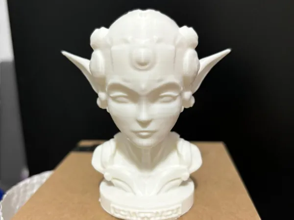 https://makerworld.bblmw.com/makerworld/model/US7618930922feeb/design/2024-11-10_b207768fb65bd.jpg