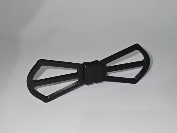 Nœud papillon squelette pour mariage