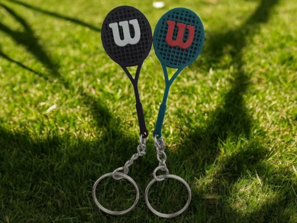https://makerworld.bblmw.com/makerworld/model/US762c74d861af99/design/2025-02-17_ac30a39dcecff.jpg