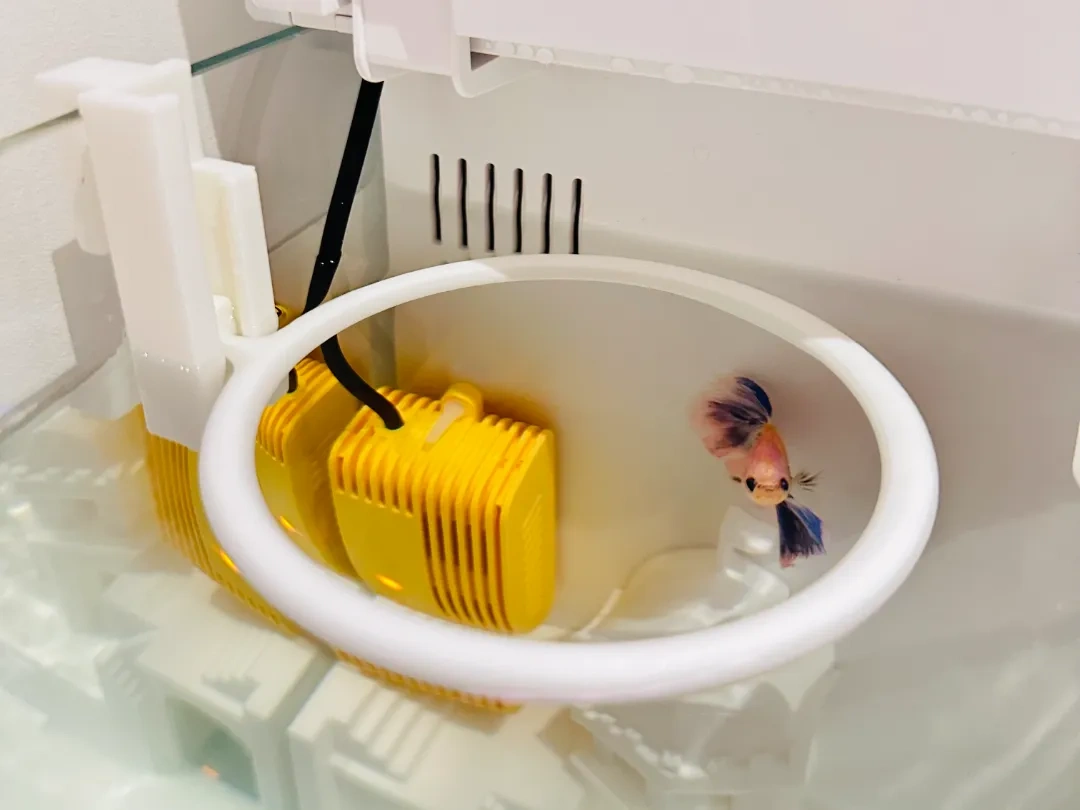 Xiaomi Fish Tank 2nd Generation Compatible Feeder Remixed by Chen以桐 ...