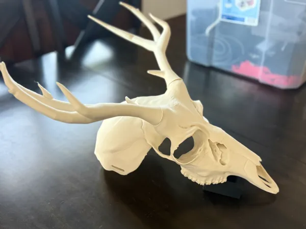 https://makerworld.bblmw.com/makerworld/model/US763457c32d1401/design/2025-10-28_f6206edb46733.jpg
