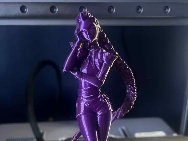 https://makerworld.bblmw.com/makerworld/model/US7637b89bcc383b/design/2025-09-22_86c86ed0fa4eb8.jpg