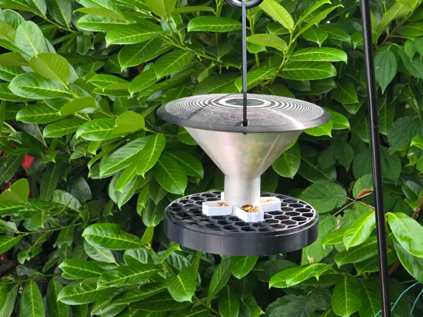 https://makerworld.bblmw.com/makerworld/model/US76396a65efbbf5/design/2025-08-03_d2fa238465486.jpg