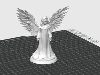 Angel with wings