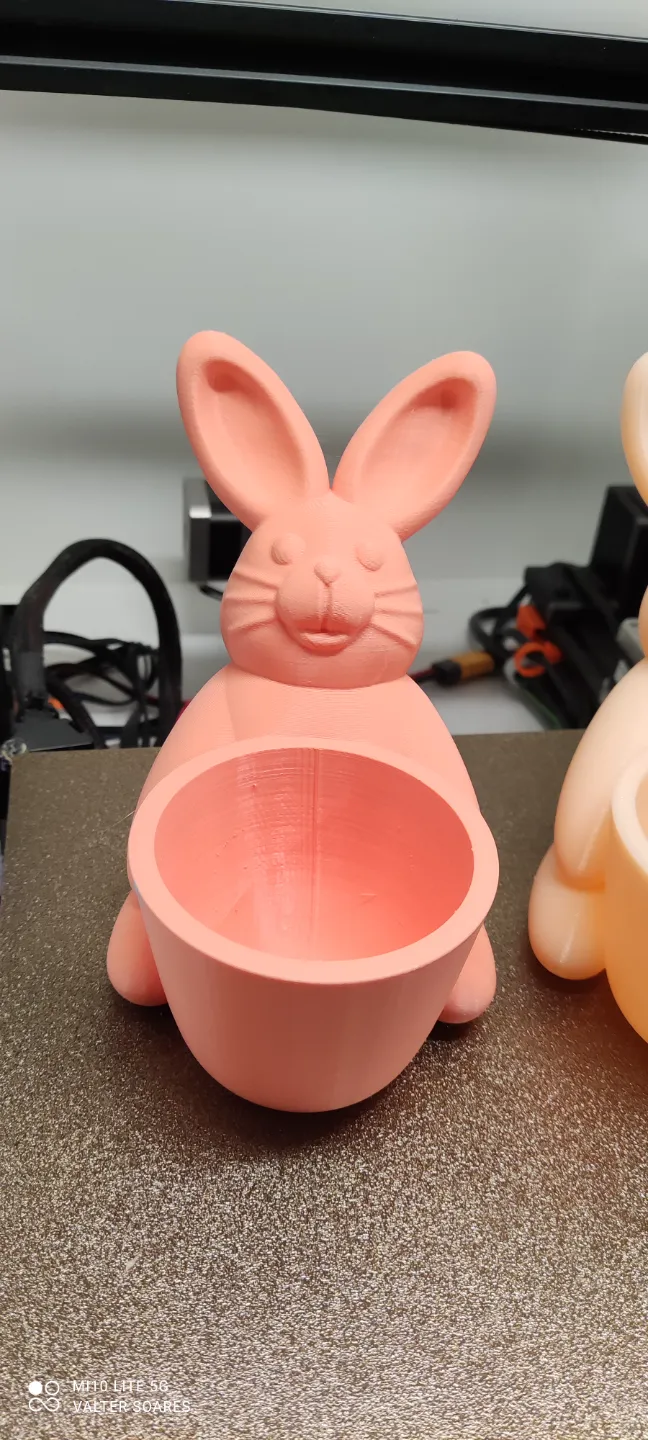 Easter Bunny view 2
