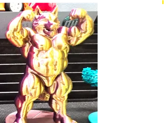 xander- front double biceps