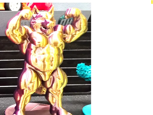 xander- front double biceps