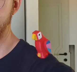 Shoulder parrot