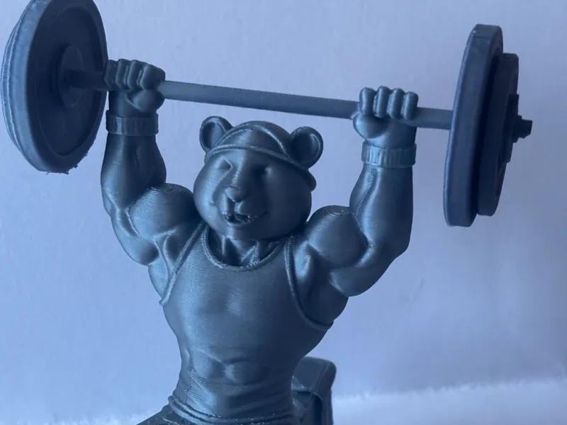 Gym panda decoration