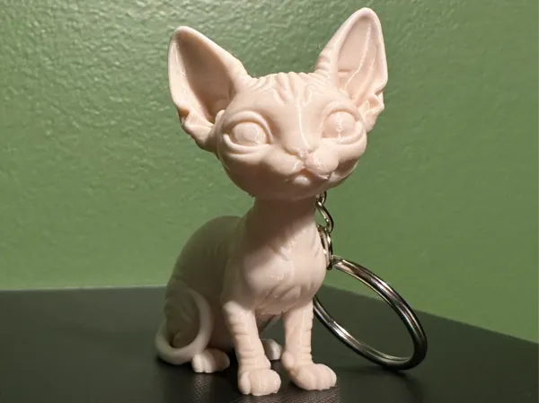 https://makerworld.bblmw.com/makerworld/model/US76509c666cffd4/design/d15274fe8eb70613.jpg