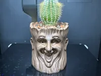 0.2mm layer, 4 walls, 15% infill