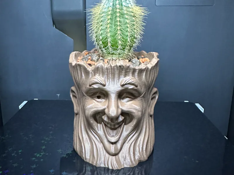 Funny Face Planter- Smilling Head Pot for Plant