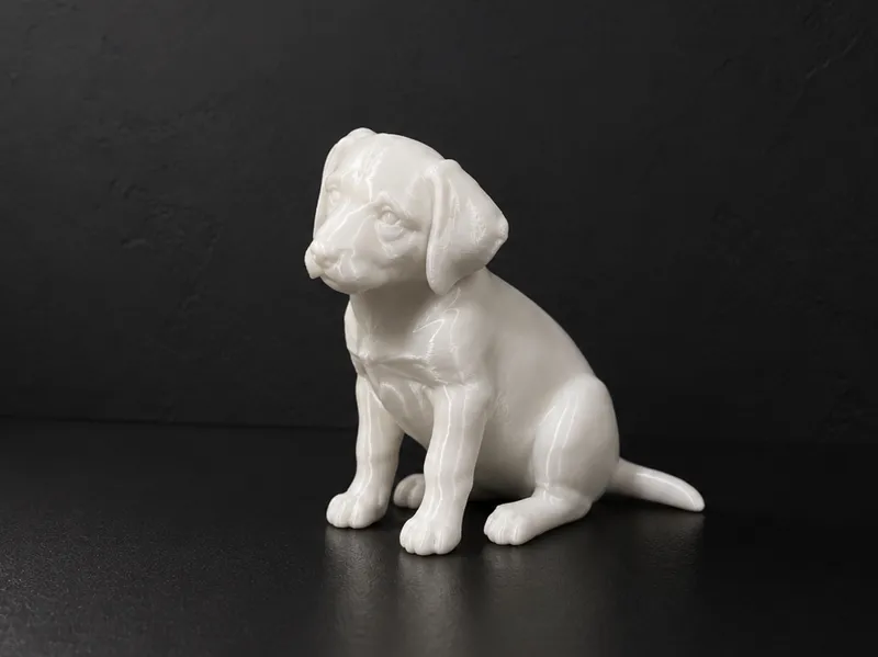 Cute Labrador Retriever - Animal - Dog