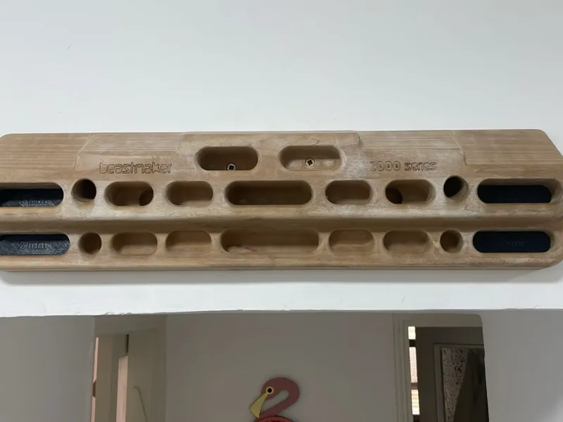 Beastmaker2000 4finger set