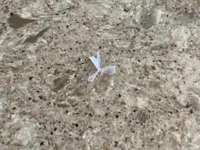 plate full of flying thingies