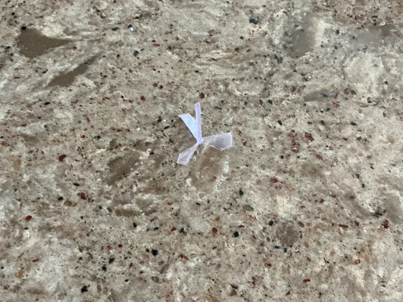 plate full of flying thingies
