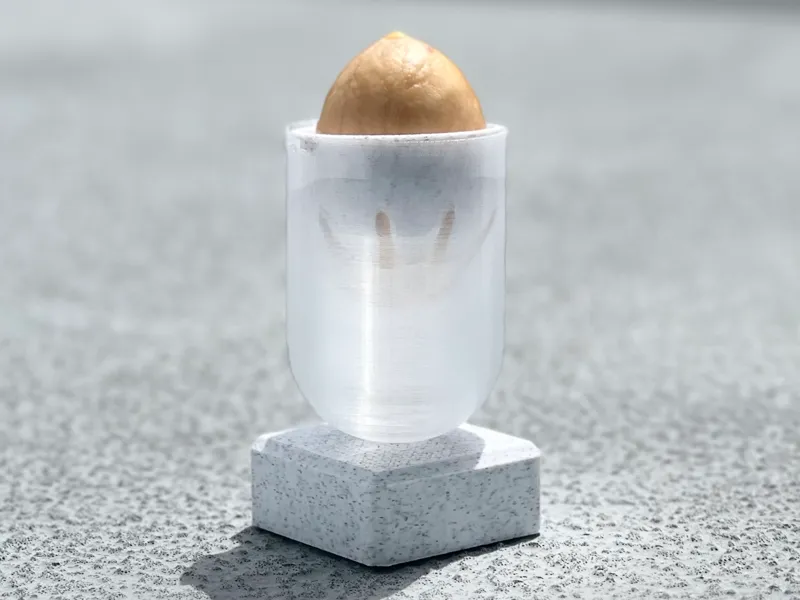 Avocado Sprouter