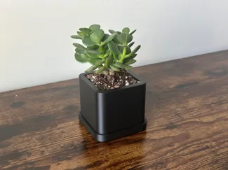 Simple Succulent Planter