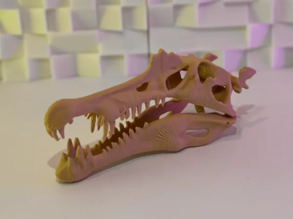 https://makerworld.bblmw.com/makerworld/model/US765eb6921fc4fe/design/2025-09-09_7231b6139ead5.jpg
