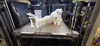 0.2mm layer, 3 walls, 8% infill