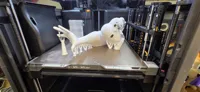 0.2mm layer, 3 walls, 8% infill
